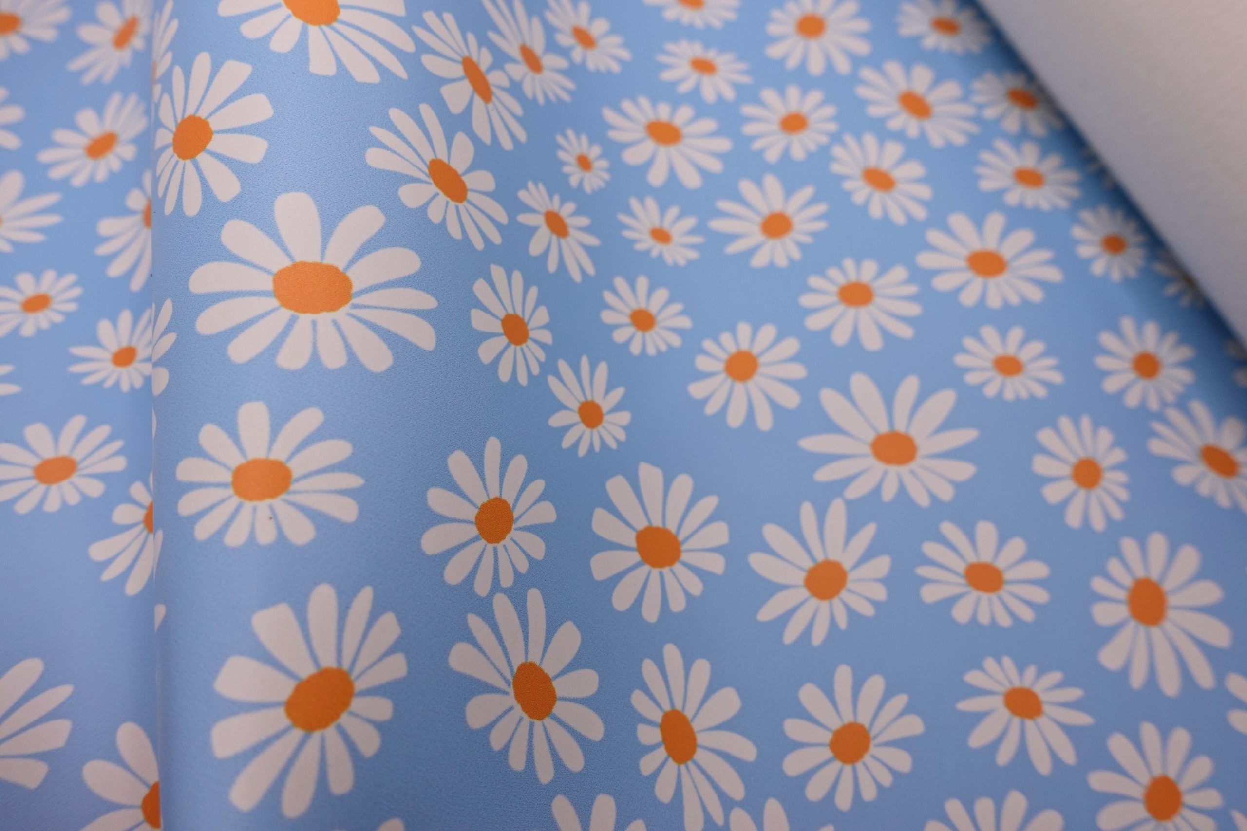 Blue Daisy - Printed Vinyl