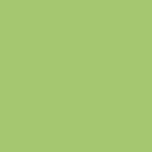 Century Solids- CS-10-Pear