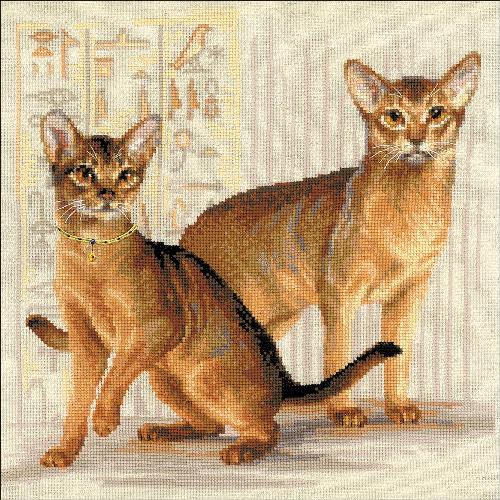 Abyssinian Cats - Counted Cross Stitch Kit