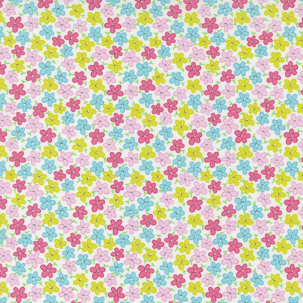 22454-11 SWEET AND PLENTY SUGAR
