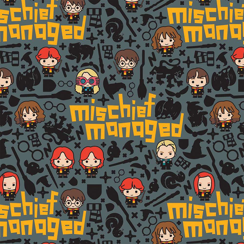 Harry Potter Kawaii Mischief Flannel 23800301B