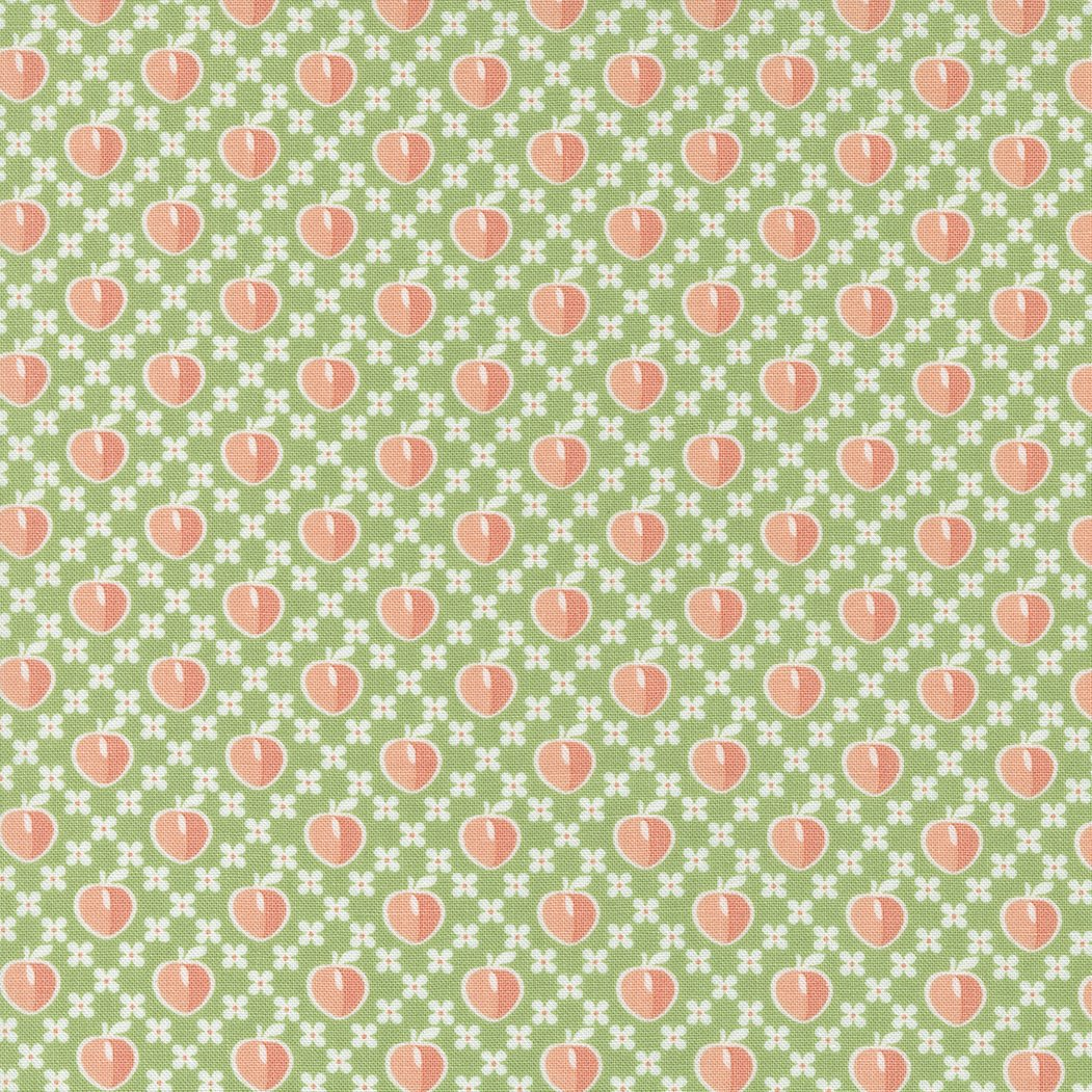 29171-13 PEACHY KEEN FERN