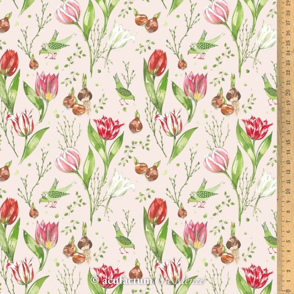 Acufactum Tulip Season