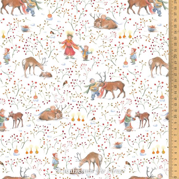 Acufactum Children and Reindeer