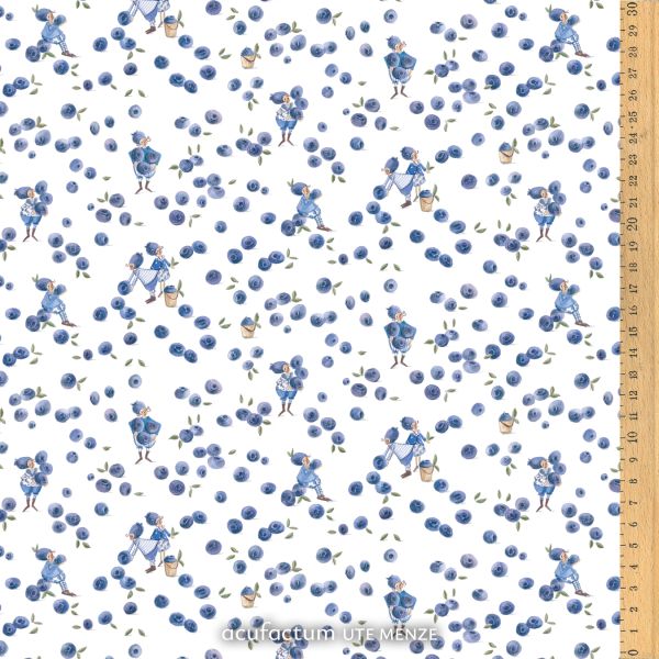 Acufactum Blueberry Gnomes