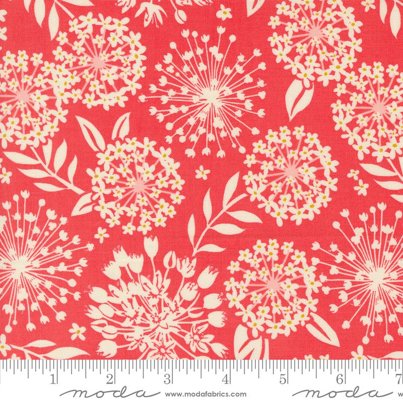TANGO SIMPATICO TANGERINE 27332 12