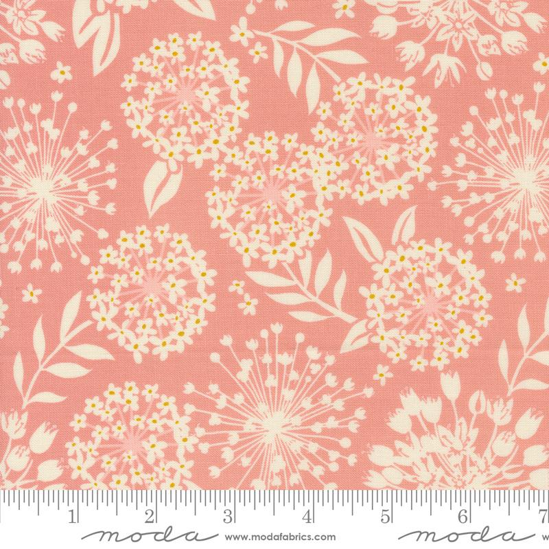 TANGO SIMPATICO PETAL 27332 13