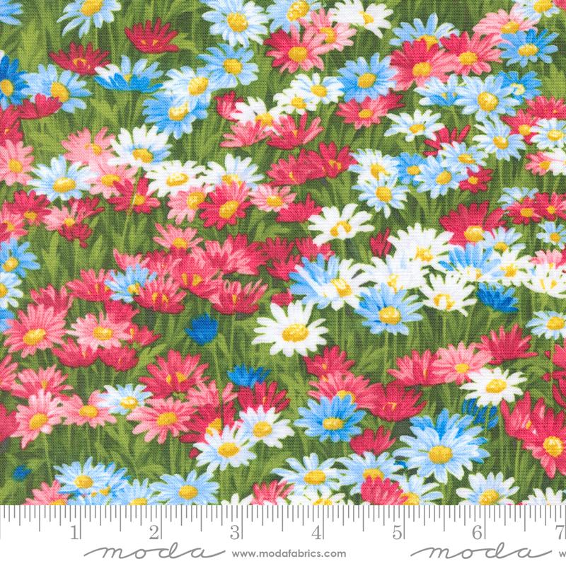 Wildflowers 2024 - Americana