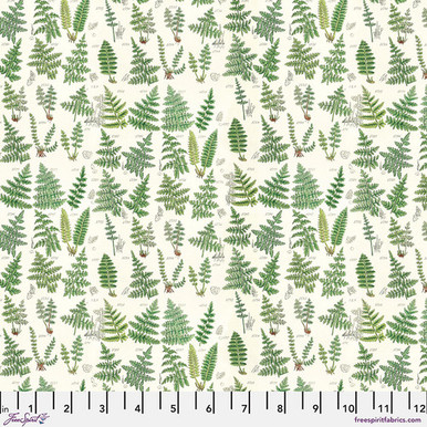 Free Spirit Fabrics - Green Palette by Tim Holtz - PWTH265.GREEN - Green Ferns