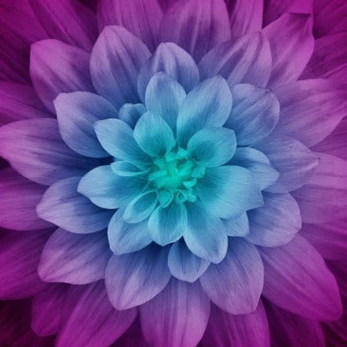 Dream Big Flower Aurora Panel 43" x 43"