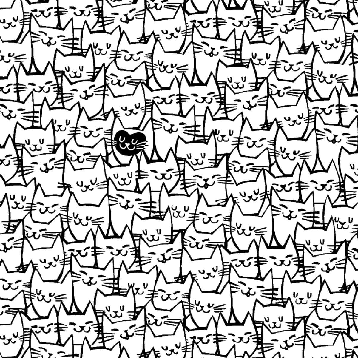 Cat Happy 108" Wide Quilt Backing Fabric