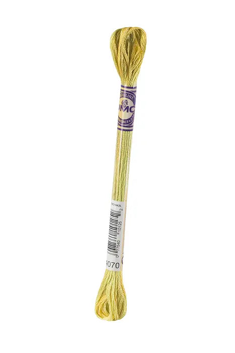 DMC 4070 Mouline Color Variations Grasslands 6 Strand Embroidery Floss