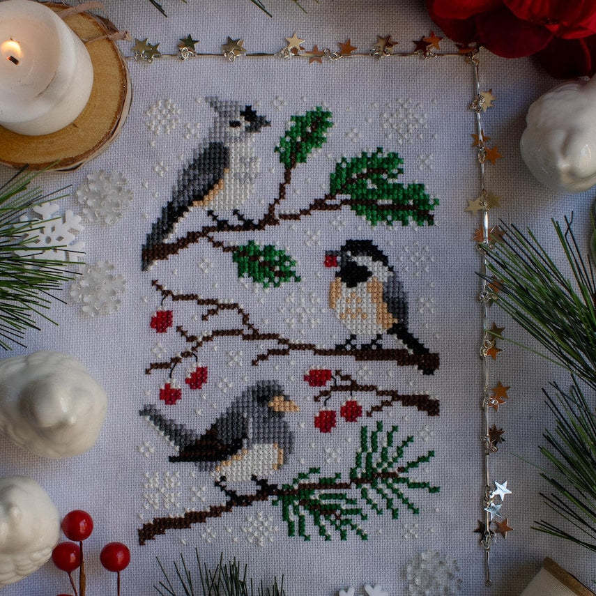 First Snow - Nature Walk | Sprouting Lupine