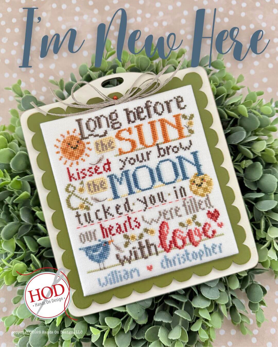 I'm New Here | Cross Stitch Pattern by Hands On Design