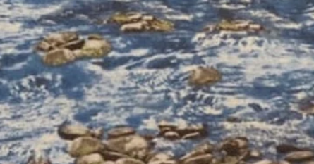 Babbling Brook Blue by Wilmington Prints