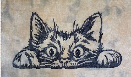 Curious Simon- Keslyn's