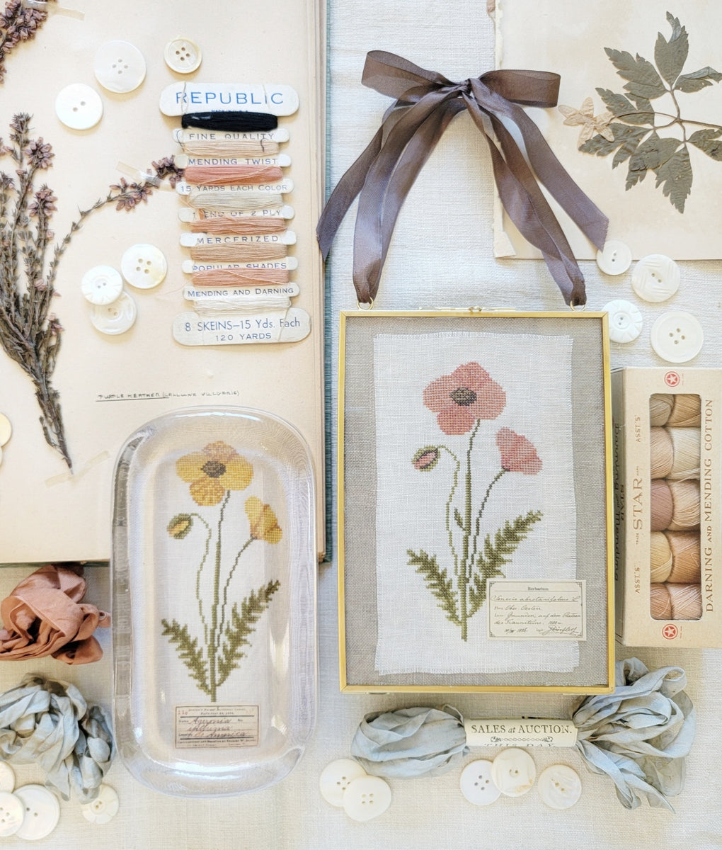 Poppy by Hello from Liz Mathews