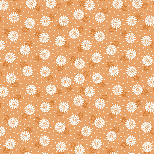 Sunshine Zinnia Tangerine