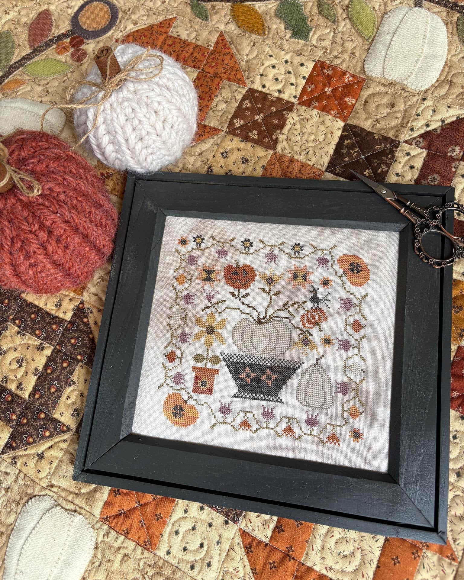 There's Always a Jack in the Patch | Pansy Patch