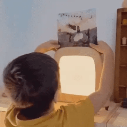 Toverlux Lamp