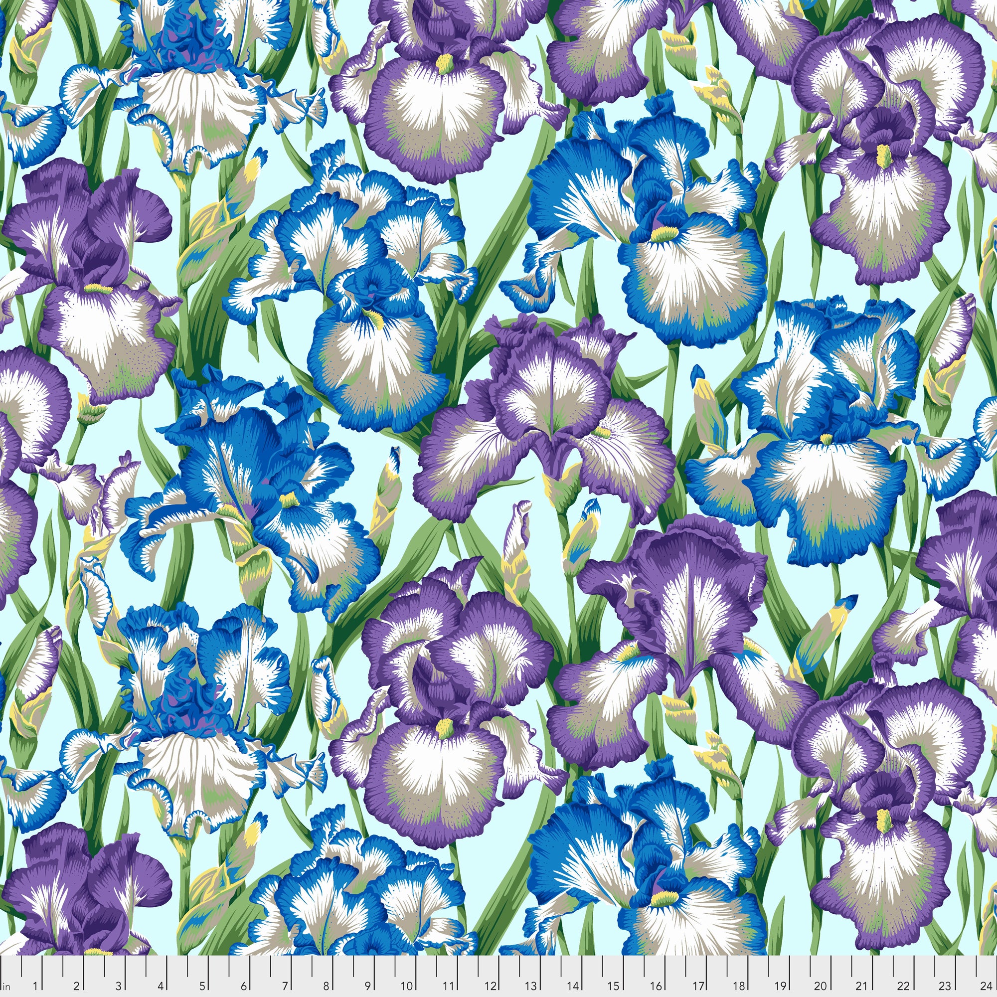 Bearded Iris PWPJ105.COOL