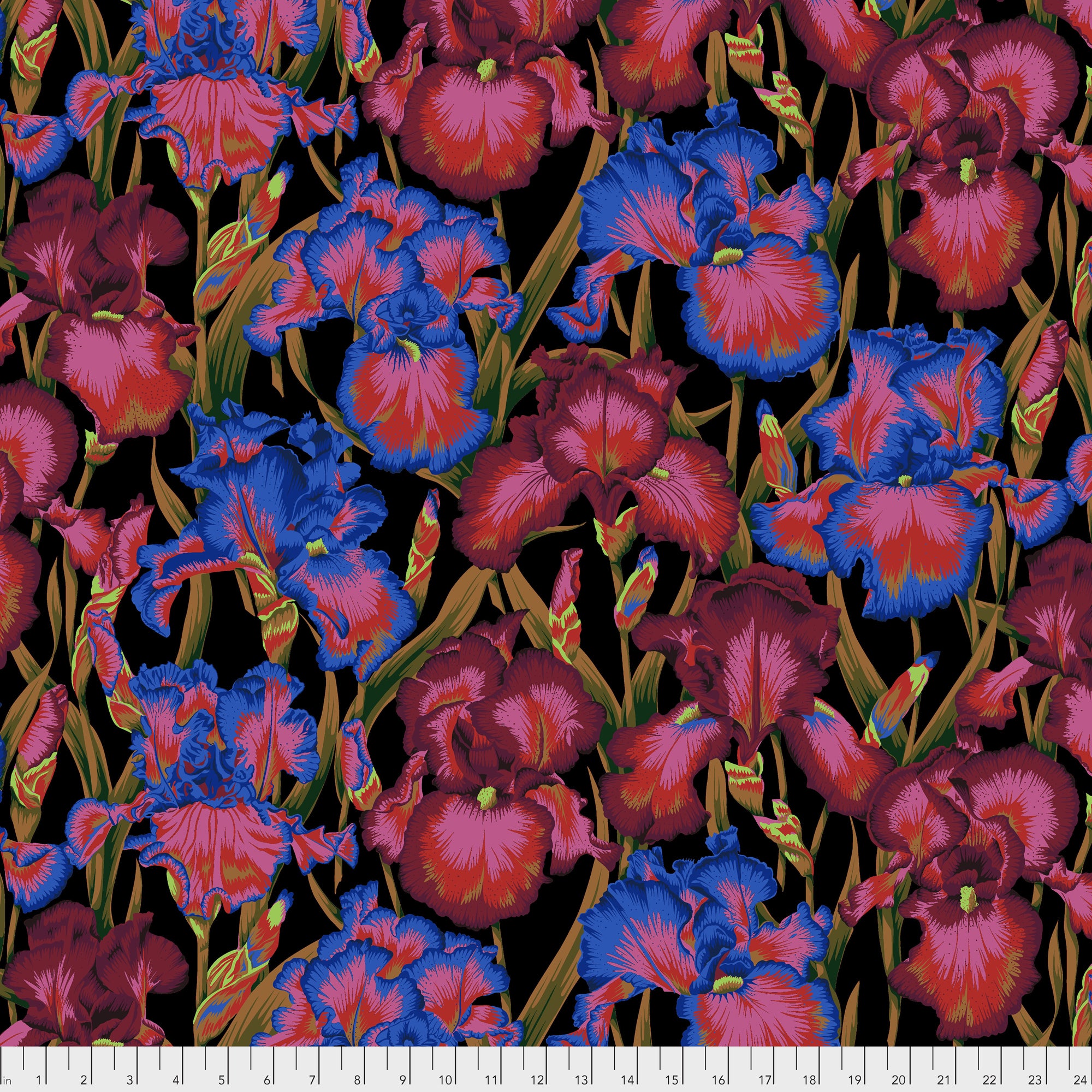 Bearded Iris PWPJ105.DARK