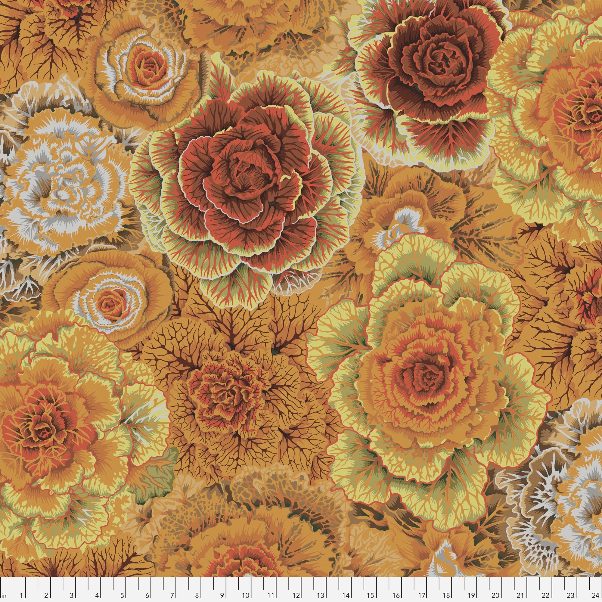 Brassica PWPJ051.BROWN