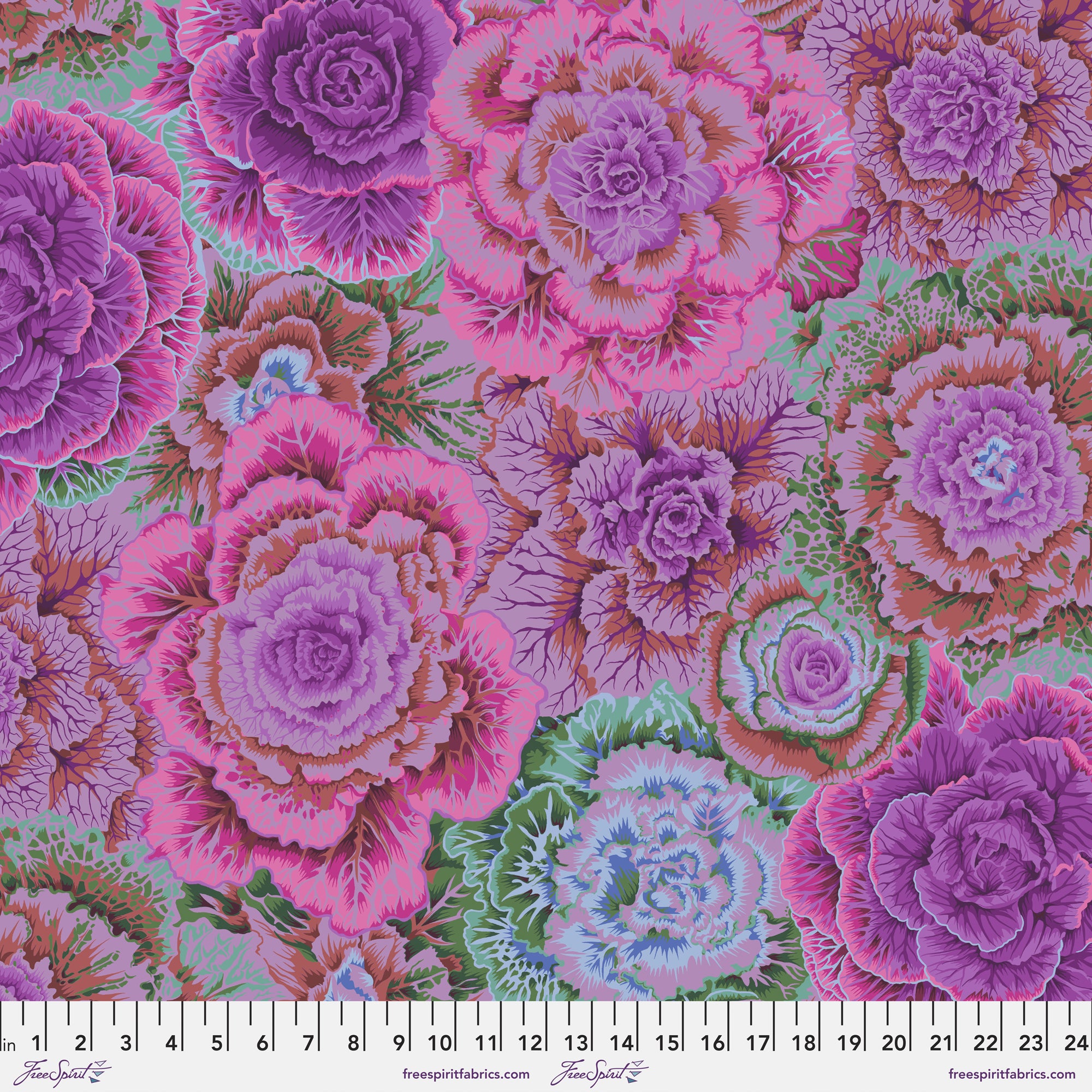 Brassica PWPJ051.MAGENTA
