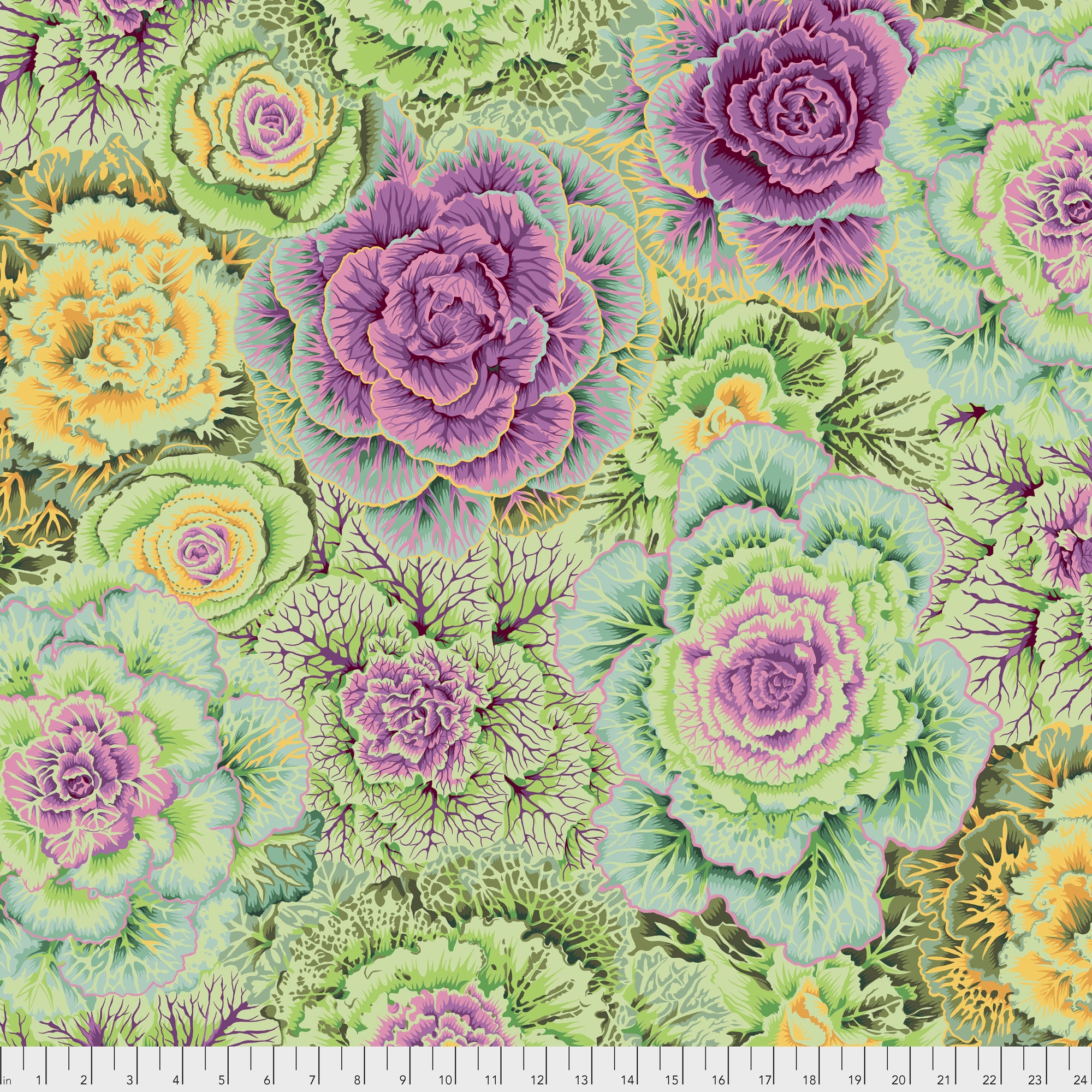 Brassica PWPJ051.MOSSX