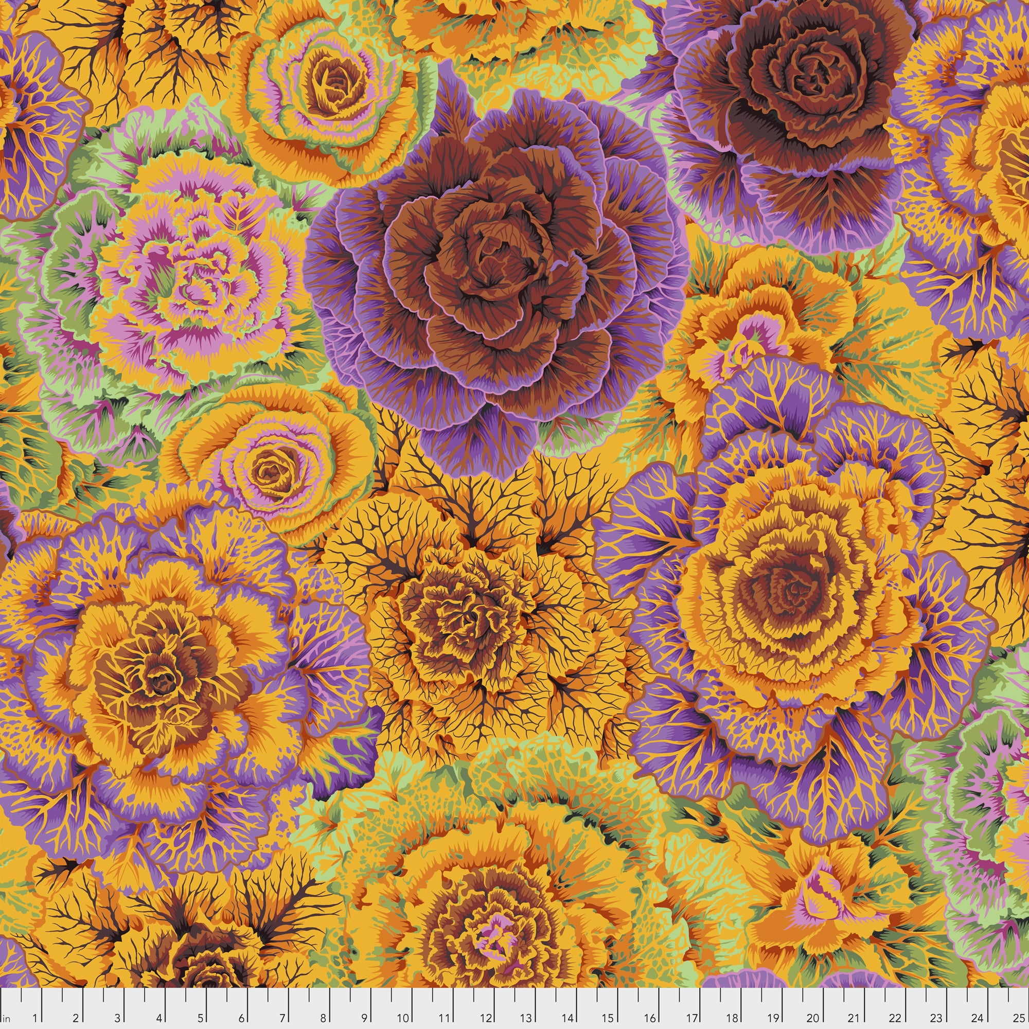 Brassica PWPJ051.ORANG Orange
