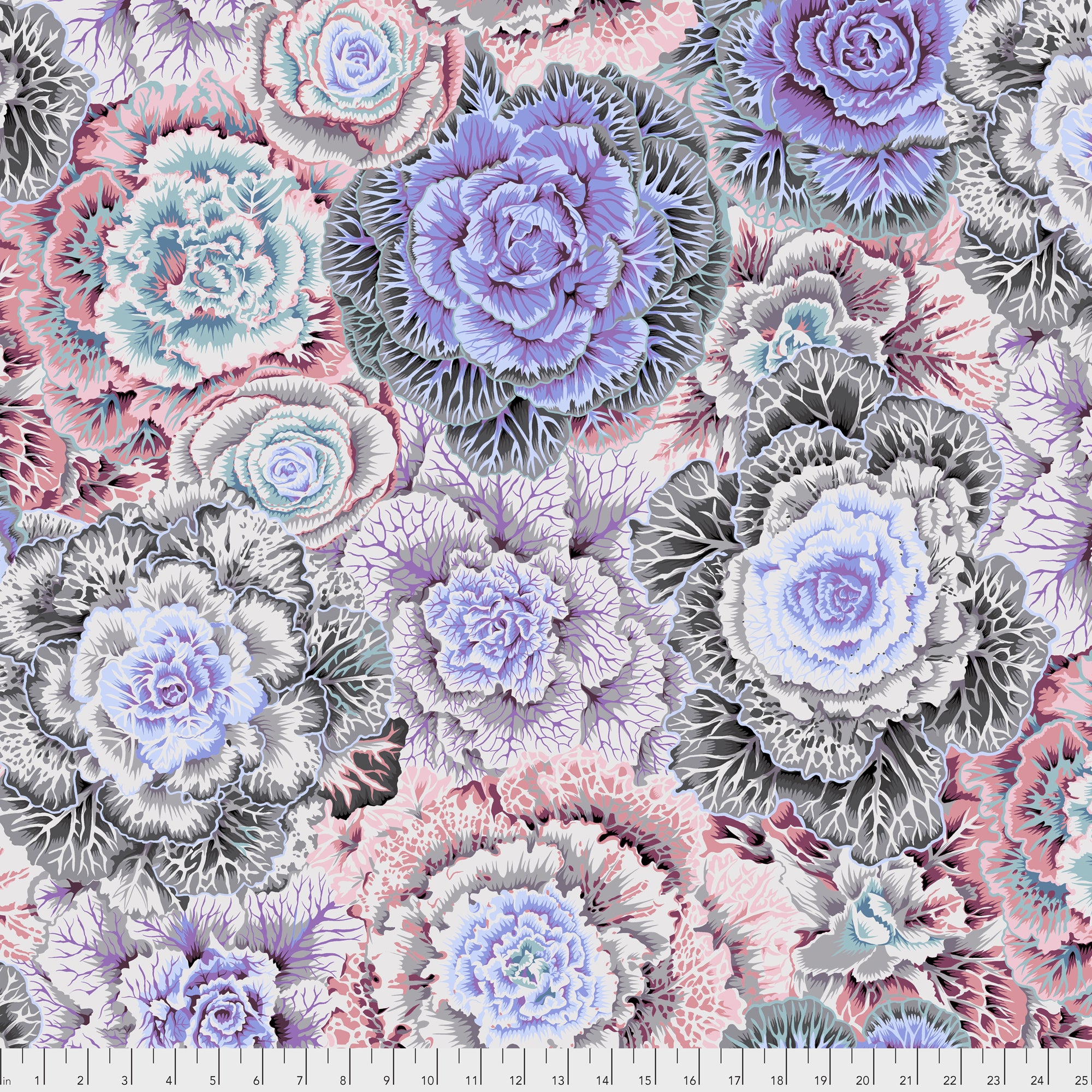 Brassica PWPJ051.WHITE