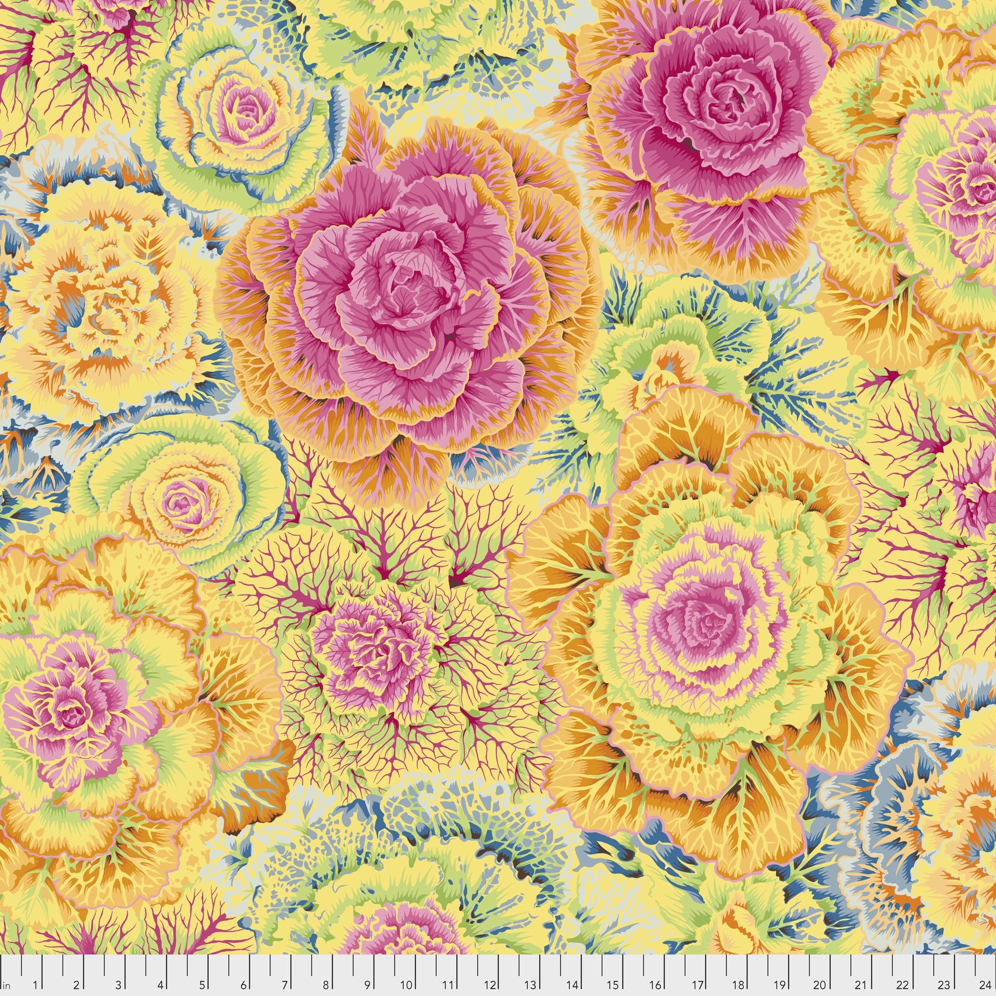 Brassica PWPJ051.YELLO Yellow