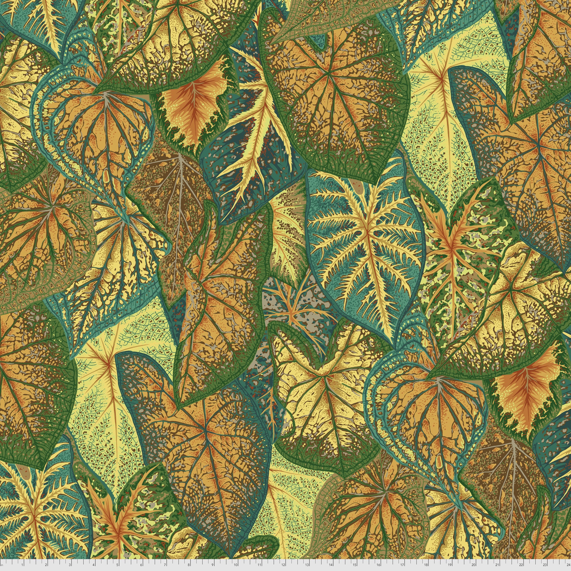 Caladiums PWPJ108.GOLD