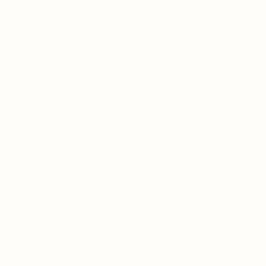 Colorworks Premium Solids 9000-10 Snow