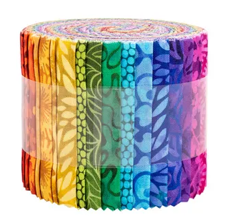 FB4DRGP.RAINBOW CLASSICS PLUS- 2.5IN DR-RAINBOW