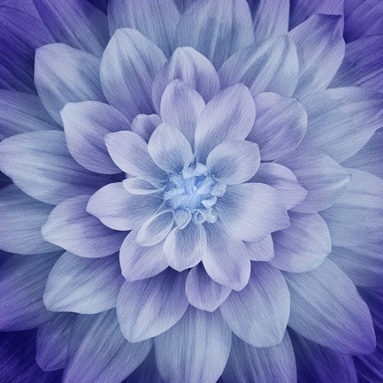 #126 - DREAM BIG SPECTRUM - HYDRANGEA