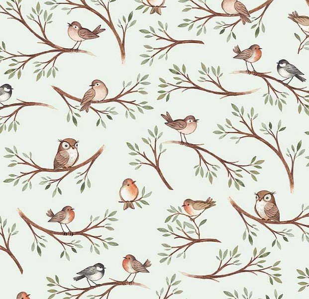 BIRDS DNS2069 MISTY