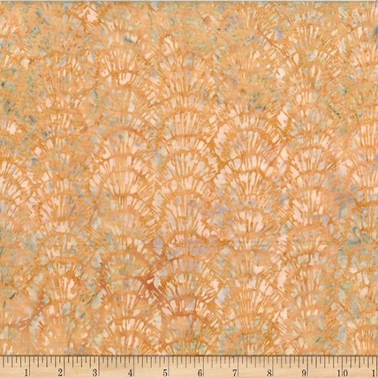 JELLY FISH SHELL TEXTURE SUNNY