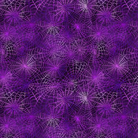 INTO THE WEB W5344-14 PURPLE